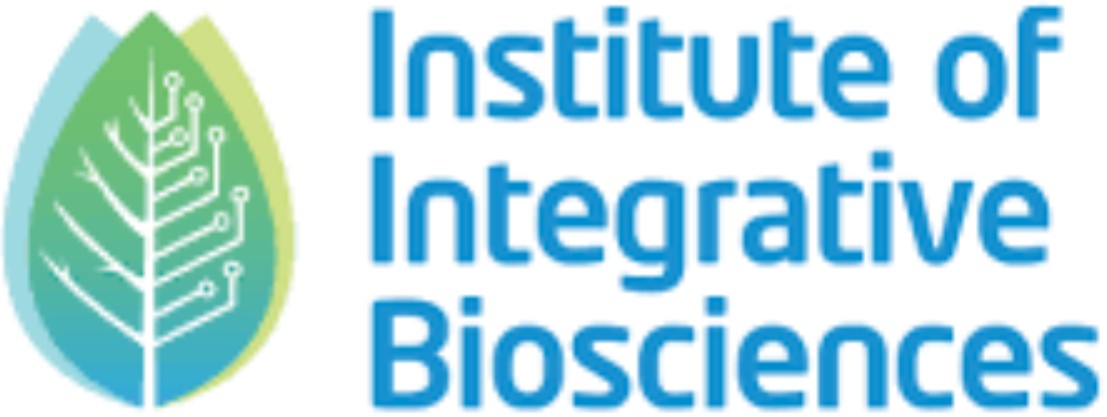 iib